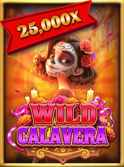 62bet